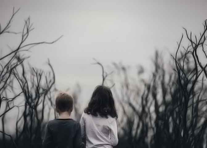 【微软商店】正版的器测压文章